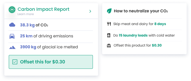 Carbon Impact Report