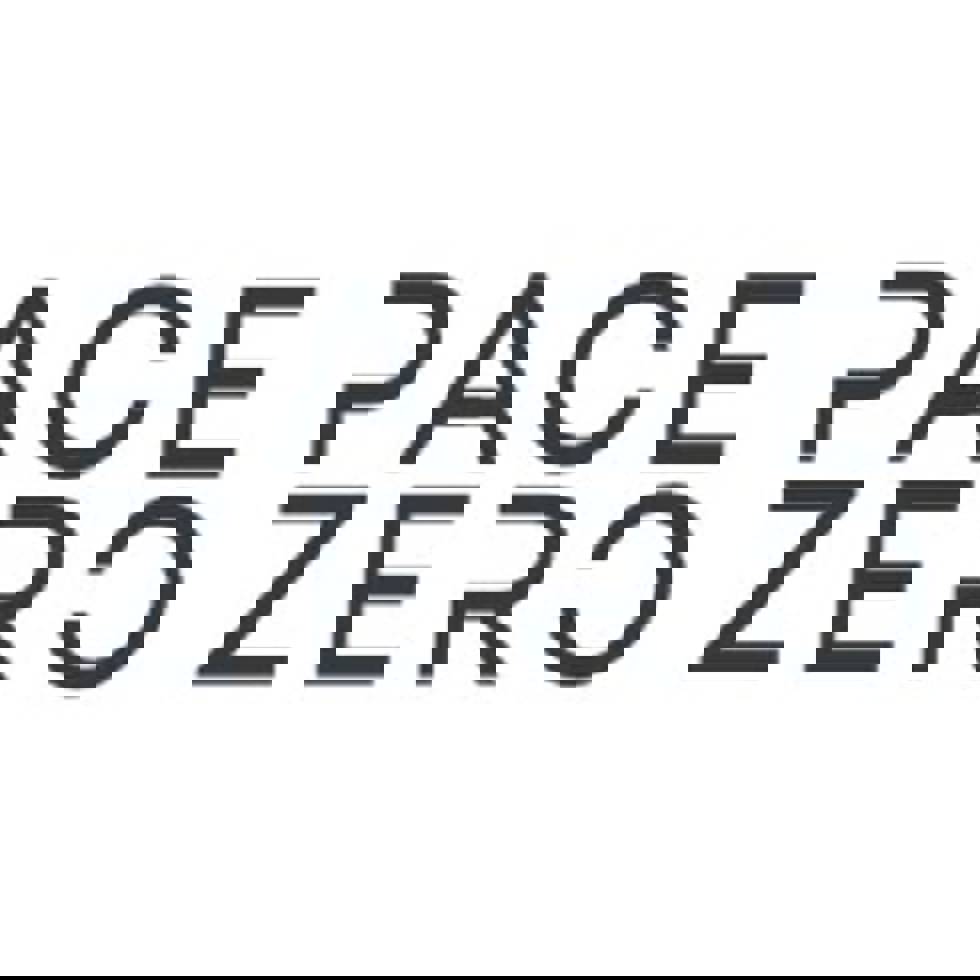 Pacezero Capital Partners Logo