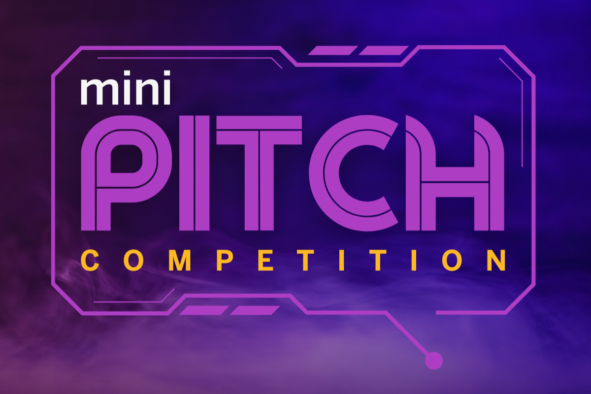 Minipitch Schmeichel Ed (1)