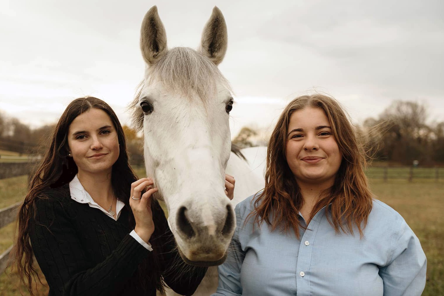 111125 Stable Insights Hero 1